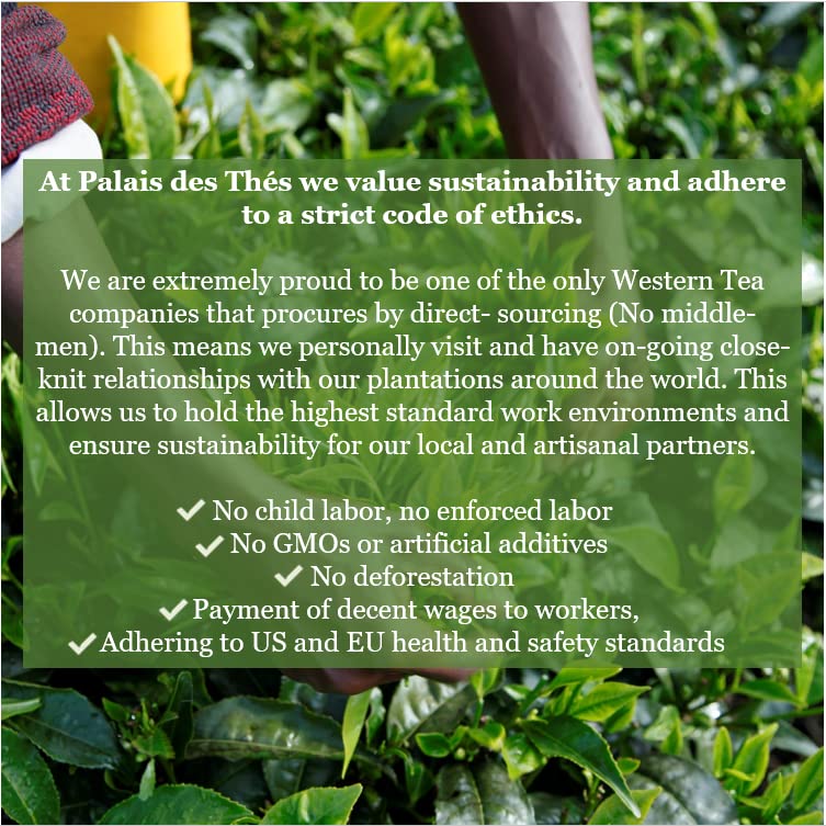 Palais des Thés - Tahitian Rooibos - Caffeine-Free Rooibos Tea with Vanilla & Almond - Premium Tea Bags, Serves 20 Cups - Image 5