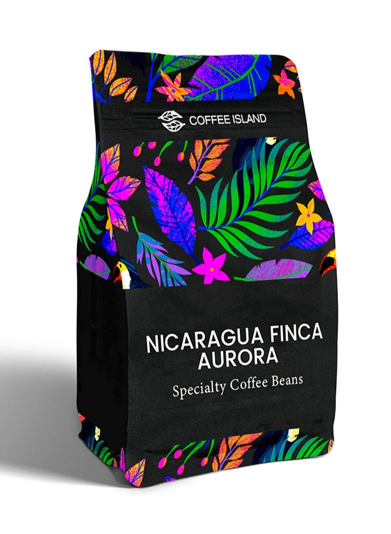 Coffee Island Nicaragua Finca Aurora Specialty Coffee, 100% Arabica, Medium Roast, Sweet, Milk Chocolate, And Orange Flavor Profile, SCA Score 84, 250 Gram  - Image 1