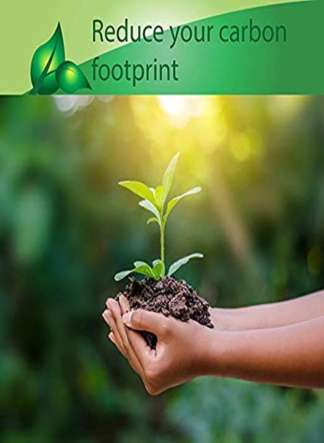 EcoPure Biodegradable Straw Clear with GreenStrip 7 3/4" Unwrapped 400 Unit Pack, 100% Eco Friendly, Disposable Biodegradable - Image 4