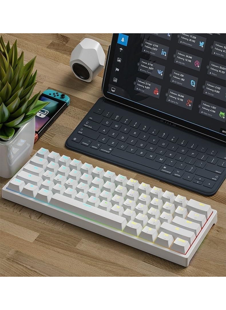 Valkyrie - Leaven K620 Blue Switch Mechanical Gaming Gaming Keyboard RGB 61 Key Blue Key Type-C Keyboard White - Image 1