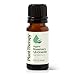 Plant Therapy Organic Rosemary Essential Oil 100 Pure USDA Certified Organic Undiluted Natural Aromatherapy Therapeutic Grade 10 mL 13 oz - Image 1