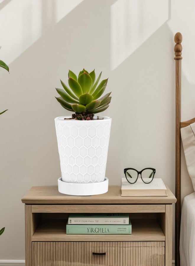 BUYMAX Plant Pots Indoor -6 inch Ceramic Flower Pot with Drainage Hole and Ceramic Tray - Gardening Home Desktop Office Windowsill Decoration Gift, Set of 2(White) - Image 3