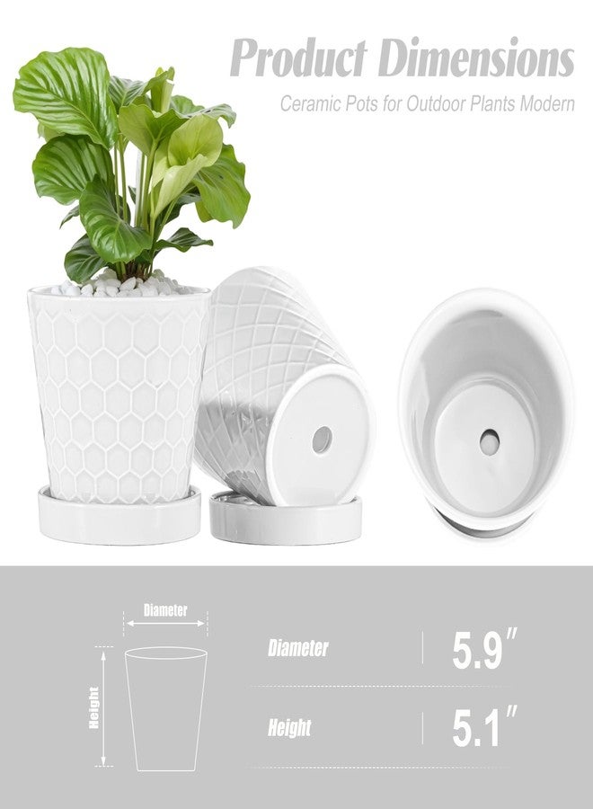 BUYMAX Plant Pots Indoor -6 inch Ceramic Flower Pot with Drainage Hole and Ceramic Tray - Gardening Home Desktop Office Windowsill Decoration Gift, Set of 2(White) - Image 5