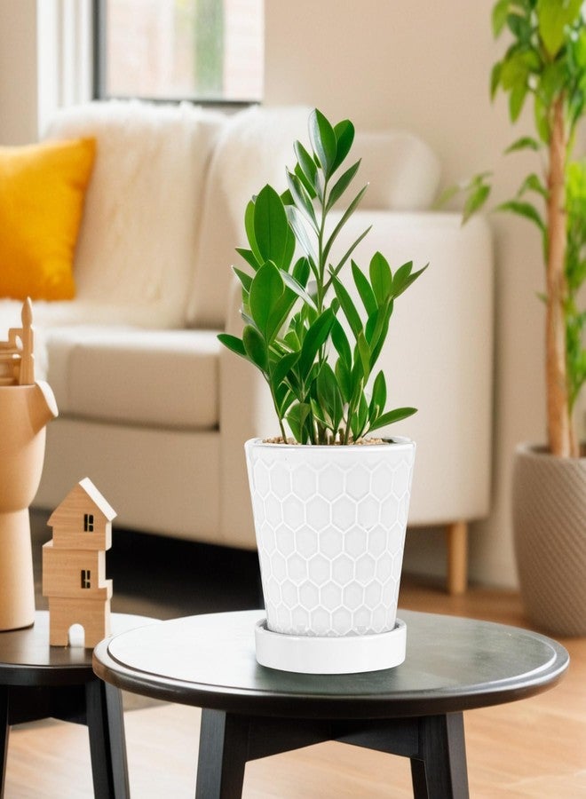 BUYMAX Plant Pots Indoor -6 inch Ceramic Flower Pot with Drainage Hole and Ceramic Tray - Gardening Home Desktop Office Windowsill Decoration Gift, Set of 2(White) - Image 2