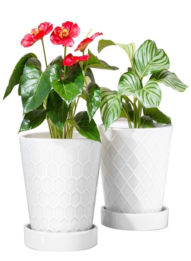 BUYMAX Plant Pots Indoor -6 inch Ceramic Flower Pot with Drainage Hole and Ceramic Tray - Gardening Home Desktop Office Windowsill Decoration Gift, Set of 2(White) - Image 1