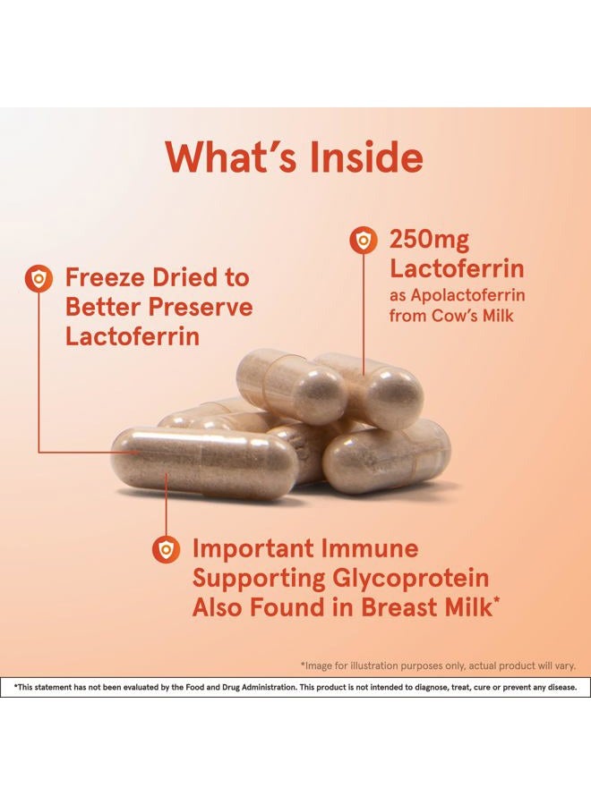 jarrow formulas Lactoferrin 250 mg - Immune-Supporting Glycoprotein - For Healthy Immune System Support & Iron Absorption - Freeze Dried - Gluten Free - Non-GMO - 30 Capsules (Servings) - Image 3