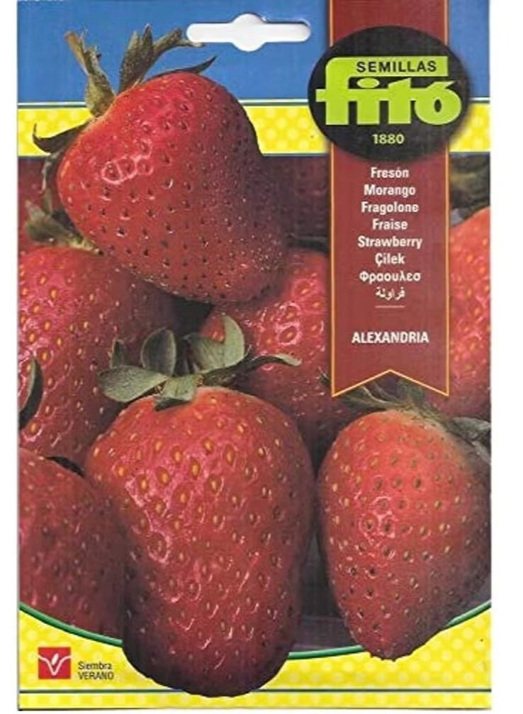 Fito Ruby Strawberry Seeds, By Fito Semillas - Image 1