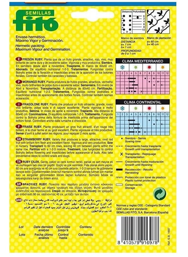 Fito Ruby Strawberry Seeds, By Fito Semillas - Image 2