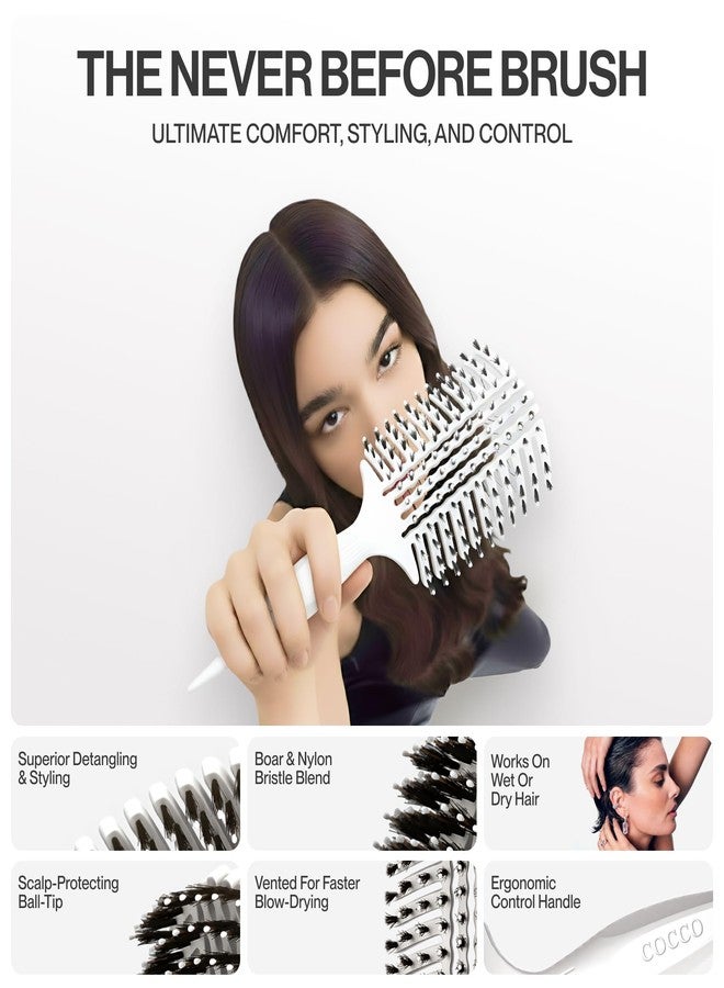 COCCO Aura Vent Boar Brush | Vented Dual-Curved Design for Faster Drying, Effortless Detangling & Shine, Boar + Nylon Bristles, Ergonomic Comfort Handle for Wet & Dry Hair Styling - White - Image 4