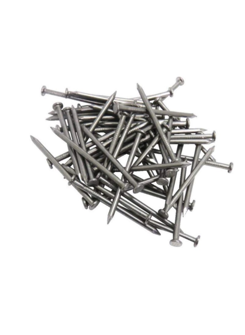 High Strength Round Head Nails For Carpentry Hardware Electrical Etc (300, 1 inch) - Image 1