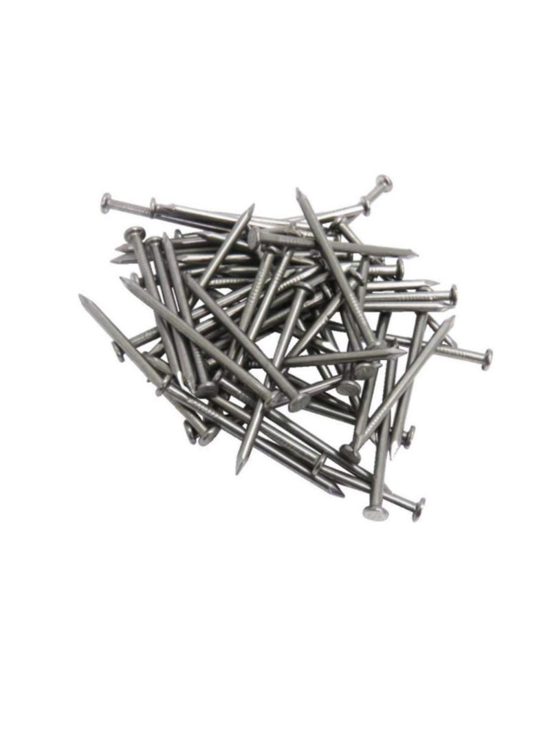 High Strength Round Head Nails For Carpentry Hardware Electrical Etc (300, 1 inch) - Image 2