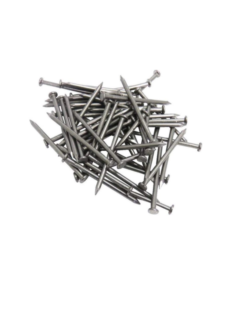 High Strength Round Head Nails For Carpentry Hardware Electrical Etc (300, 1 inch) - Image 3