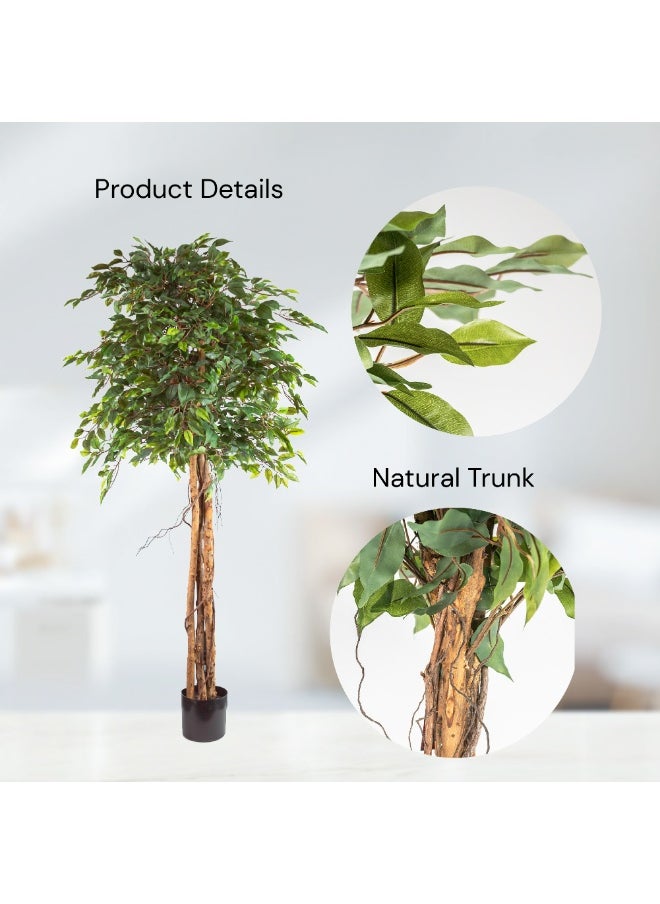 Gulf Flowers Gulf Flowers Artificial Ficus Tree – 183cm Tall Faux Plant with 1680 Green Leaves – Lifelike Indoor Tree for Home & Office Décor – Realistic Large Decorative Tree for Corners  - Image 3