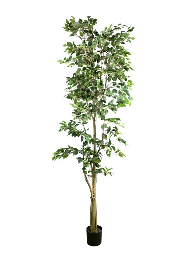 Gulf Flowers Gulf Flowers Artificial Ficus Tree – 183cm Tall Faux Plant with 1680 Green Leaves – Lifelike Indoor Tree for Home & Office Décor – Realistic Large Decorative Tree for Corners  - Image 1