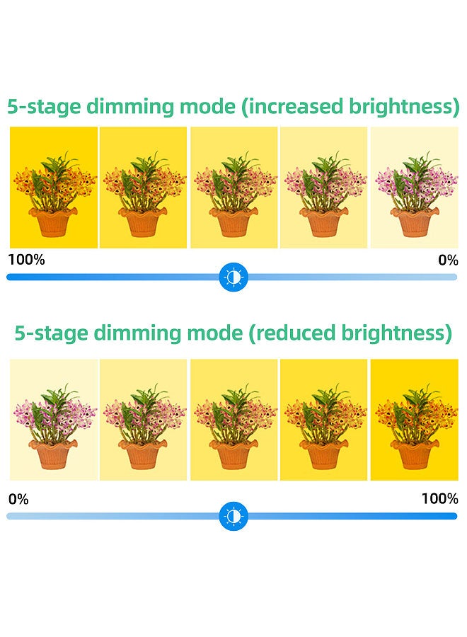 Generic Grow Lights for Indoor Plants 3 Heads 6.2W 301.7lm 60LED 4000K USB Powered Grow Light 8H/12H/16H Timer 5 Dimmable Brightness Plant Growing Lamps for Succulents / Mini Bonsai / Small Plants  - Image 2