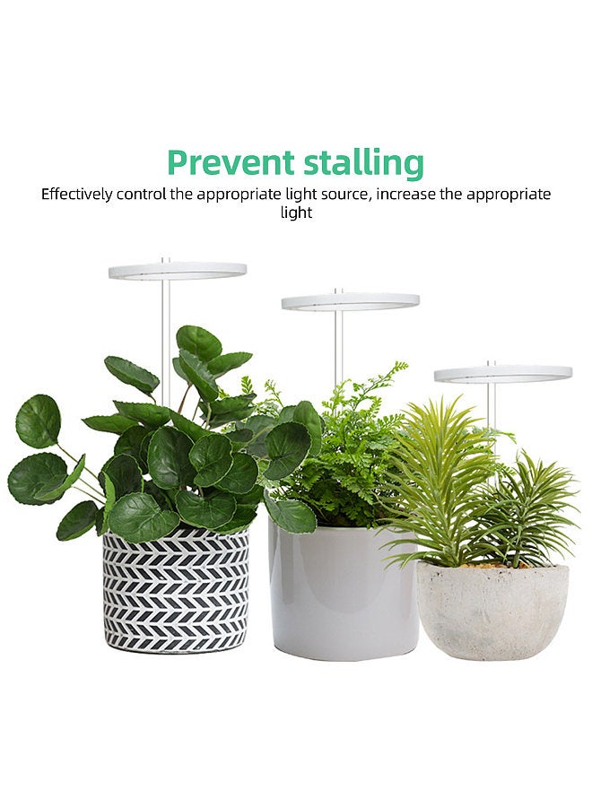 Generic Grow Lights for Indoor Plants 3 Heads 6.2W 301.7lm 60LED 4000K USB Powered Grow Light 8H/12H/16H Timer 5 Dimmable Brightness Plant Growing Lamps for Succulents / Mini Bonsai / Small Plants  - Image 5