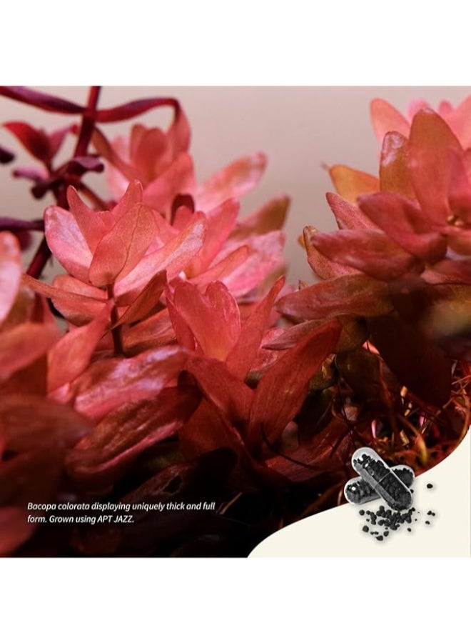 Apt The 2Hr Aquarist APT Jazz | Aquarium Plant Root Fertilizer - Image 3