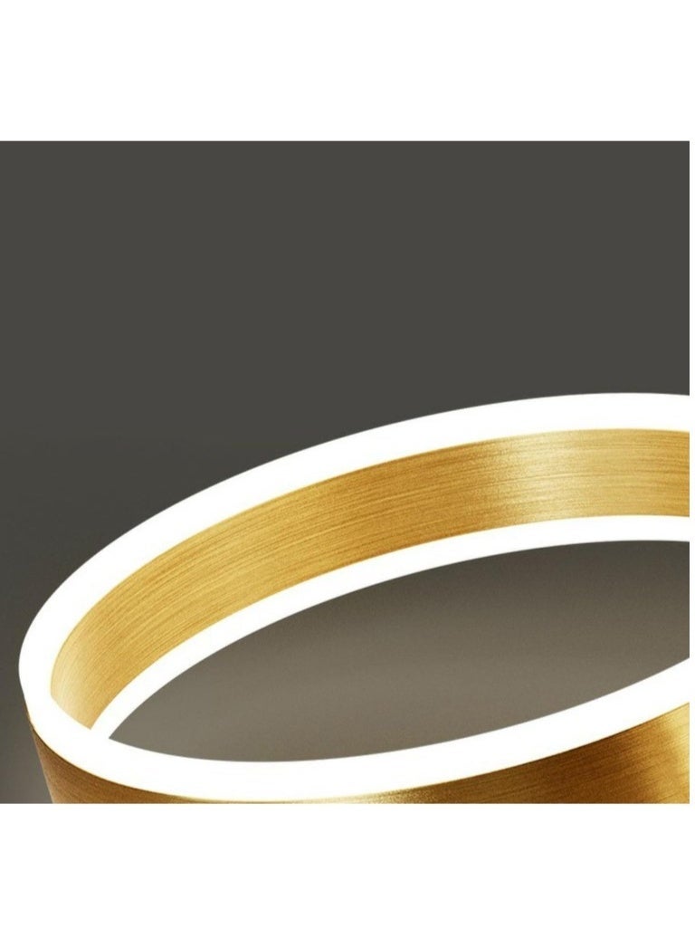 Remote Control Modern LED Gold Ring Chandelier – 4-Tier Adjustable Pendant Light for Living Room, Dining Area, Foyer & Hotel Lobby – Contemporary Ceiling Fixture with Warm White Light & Sleek Metal Finish - Image 2