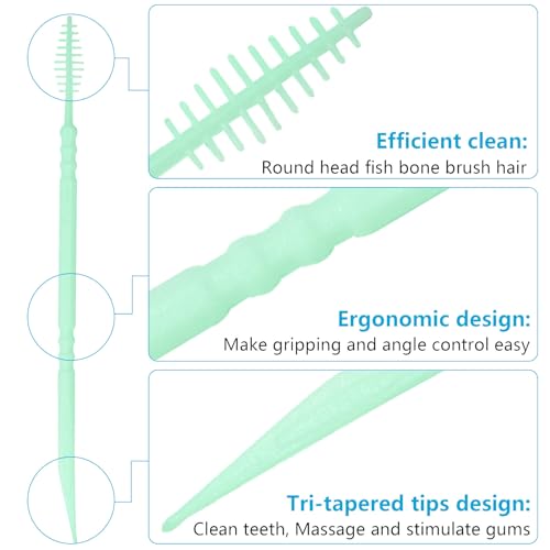 DanTicy Brushpicks Interdental Toothpicks,Soft Bristle Dental Floss Picks Toothpicks,Helps Removes Plaque and Debris Between Your Teeth 600PCS (Pack of 5) Mint - Image 3
