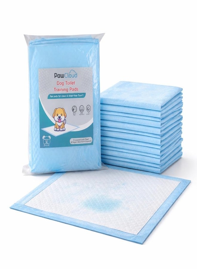 PawCloud Pet Toilet Training Pad (45 X 60 cm), 10 Pads - Image 1