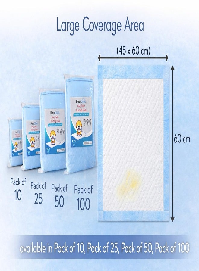 PawCloud Pet Toilet Training Pad (45 X 60 cm), 10 Pads - Image 4