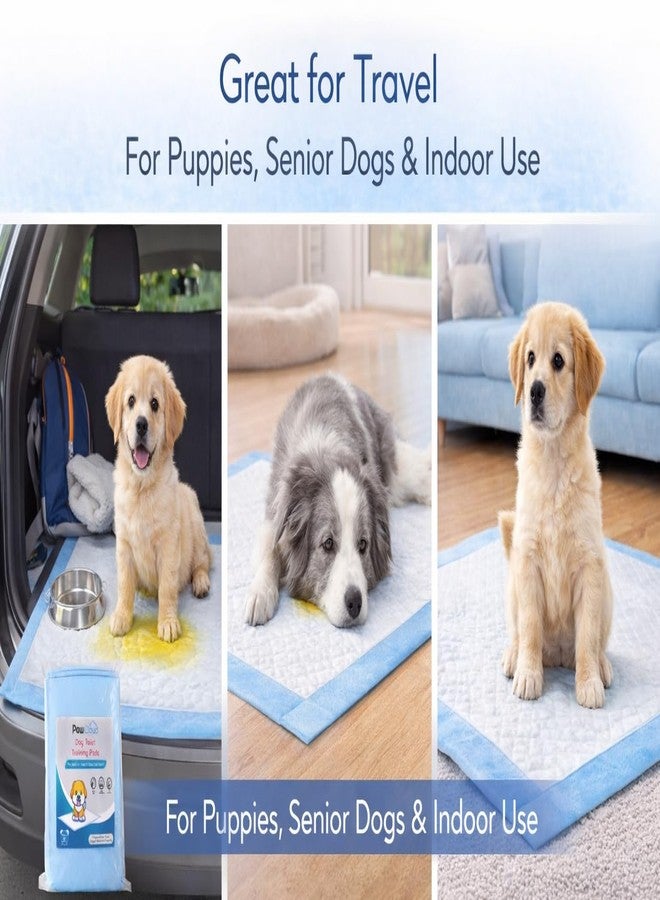 PawCloud Pet Toilet Training Pad (45 X 60 cm), 10 Pads - Image 3