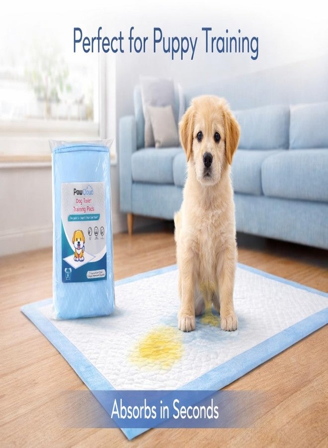 PawCloud Pet Toilet Training Pad (45 X 60 cm), 10 Pads - Image 5