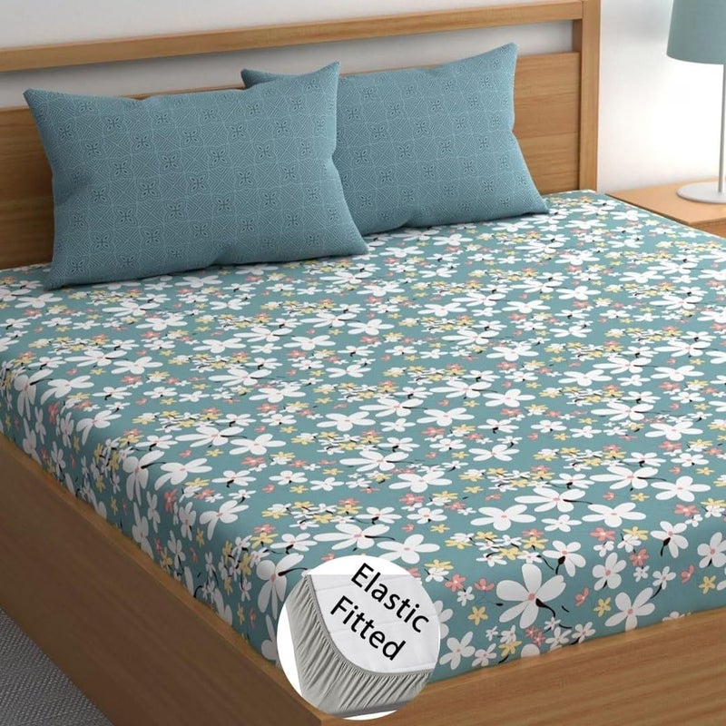 LOOMLYFE 300 TC Cotton Feel Glace Cotton Elastic Fitted Printed King Size Double Bed Bedsheet with 2 Pillow Covers Fits Upto 8 inches Mattress, Size- 72X78 Inches, SkyBlue - Image 1