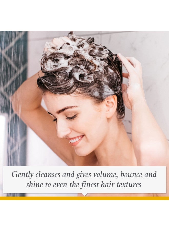 فيليب كينجزلي مجموعة العناية بالشعر للسفر: شامبو مكثف وبلسم وقناع ترطيب عميق للشعر الناعم والضعيف - يضيف كثافة ولمعانًا - Image 5