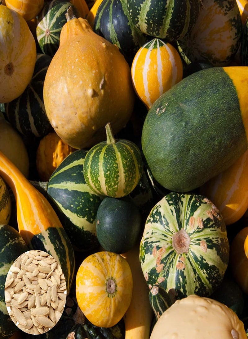 GGOOT 30Pcs Mix Stripe Pumpkin Seeds Home Garden Yard Planting Fresh Vegetable Pumpkin Squash Seeds Pumpkin Seeds - Image 1