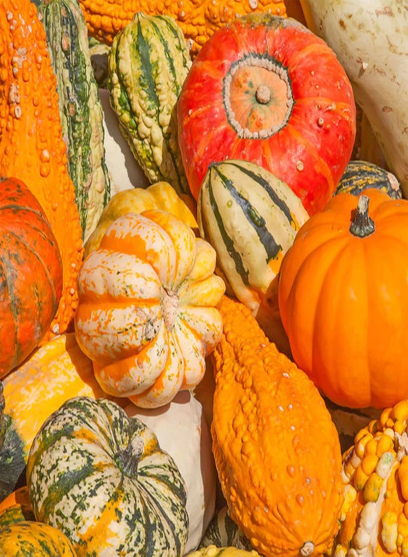 GGOOT 30Pcs Mix Stripe Pumpkin Seeds Home Garden Yard Planting Fresh Vegetable Pumpkin Squash Seeds Pumpkin Seeds - Image 3