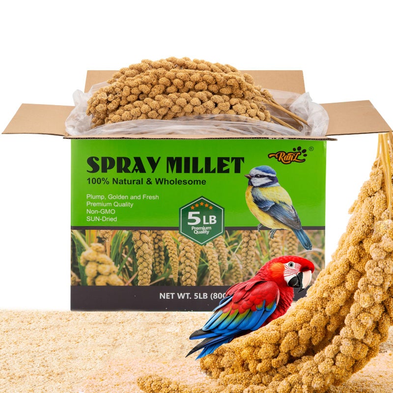 RANZ 5LBS Millet Spray for Birds, GMO-Free, Sun Dried Spray Millet, Original Bird Treats & Supplement for Parrots, Cockatiels, Lovebirds, Painted Buntings and Finches, Parakeets Food - Image 1