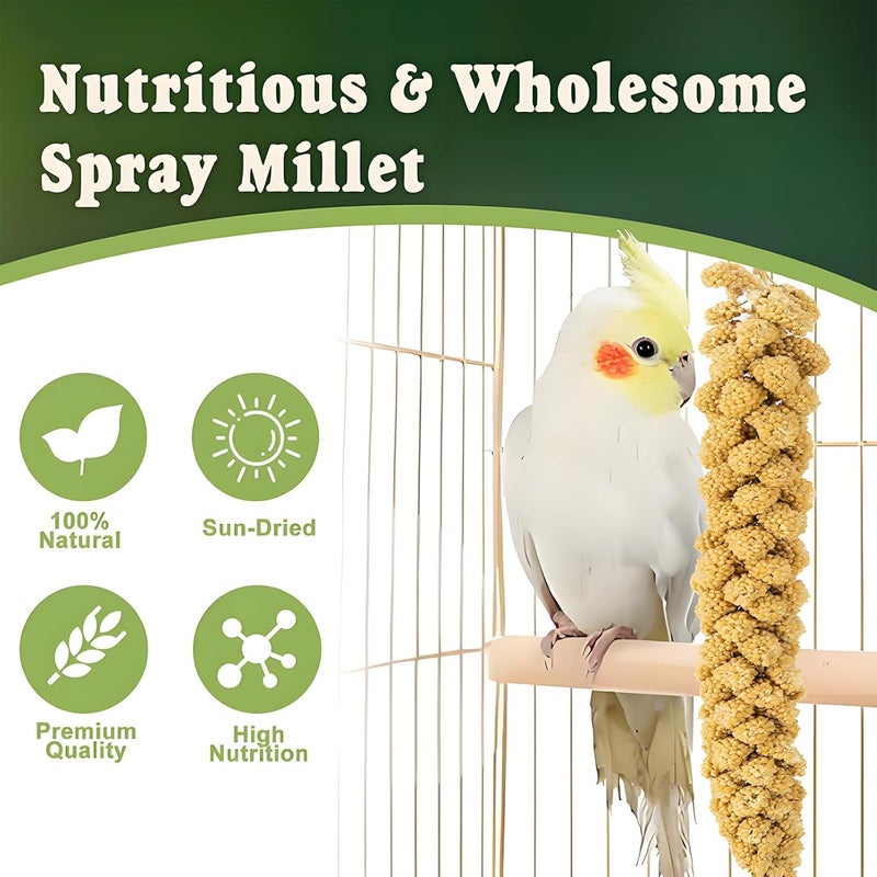 RANZ 5LBS Millet Spray for Birds, GMO-Free, Sun Dried Spray Millet, Original Bird Treats & Supplement for Parrots, Cockatiels, Lovebirds, Painted Buntings and Finches, Parakeets Food - Image 3