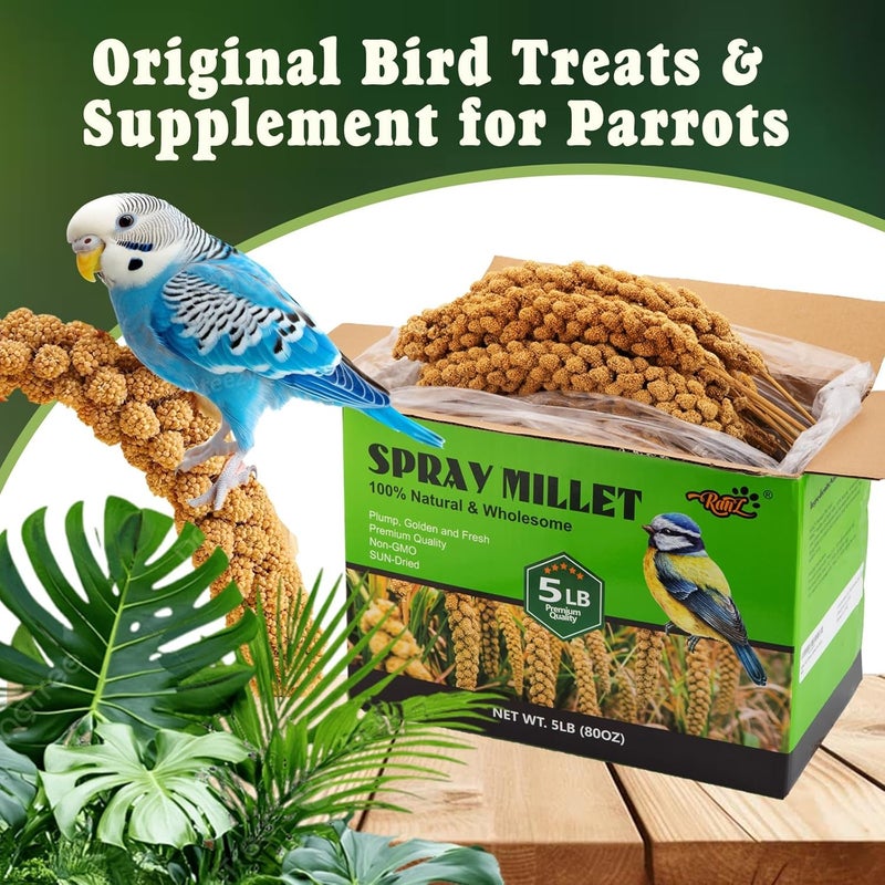 RANZ 5LBS Millet Spray for Birds, GMO-Free, Sun Dried Spray Millet, Original Bird Treats & Supplement for Parrots, Cockatiels, Lovebirds, Painted Buntings and Finches, Parakeets Food - Image 5