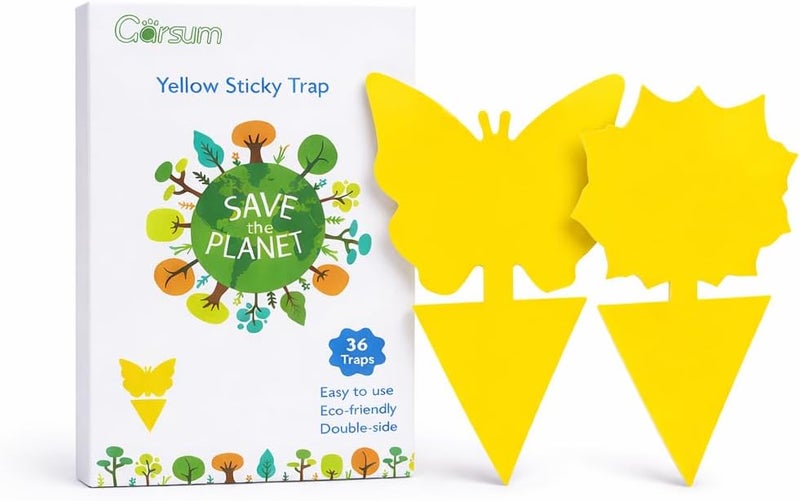 Garsum Fruit Fly Sticky Trap for Indoor and Outdoor, 36 Pack Fungus Gnat Killer for Houseplant,Mosquitos, Flying Insect, White Flies - Image 1