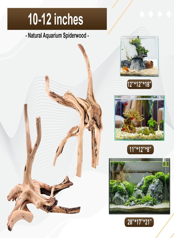 Kaiyuan Dynasty 2Pcs 12-16" Natural Spiderwood for Aquarium Unique Spider Wood Branch for Reptile Terrariums Fish Tank Decorations - Image 2