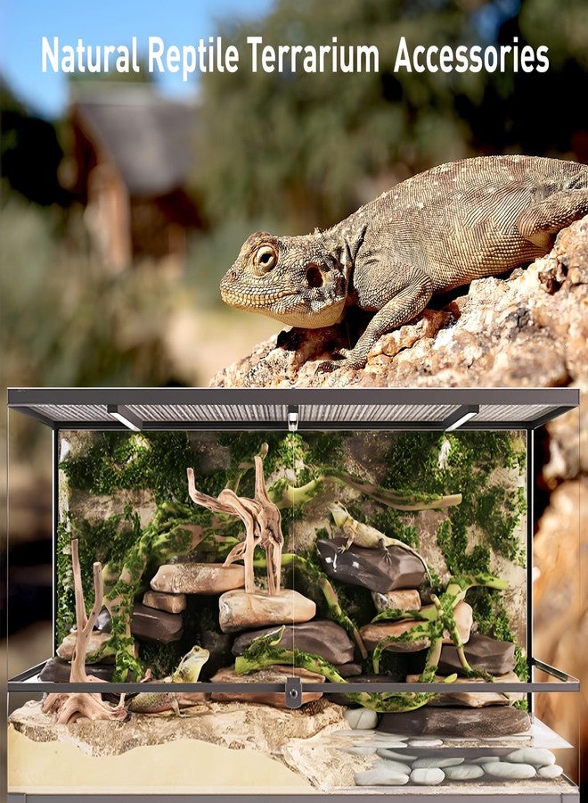 Kaiyuan Dynasty 2Pcs 12-16" Natural Spiderwood for Aquarium Unique Spider Wood Branch for Reptile Terrariums Fish Tank Decorations - Image 5