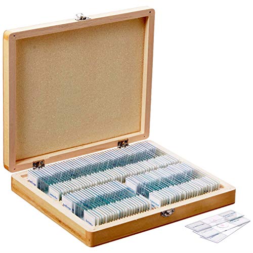 AmScope PS100E Basic Biology Prepared Slide Set for Student and Homeschool Use, Set of 100 Prepared Glass Slides (Set E), Includes Fitted Wooden Storage Box - Image 2