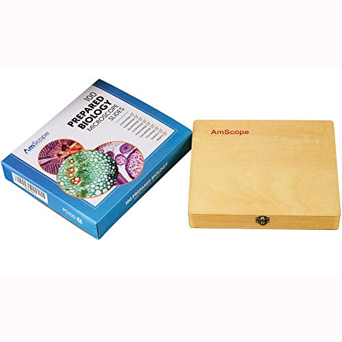 AmScope PS100E Basic Biology Prepared Slide Set for Student and Homeschool Use, Set of 100 Prepared Glass Slides (Set E), Includes Fitted Wooden Storage Box - Image 3