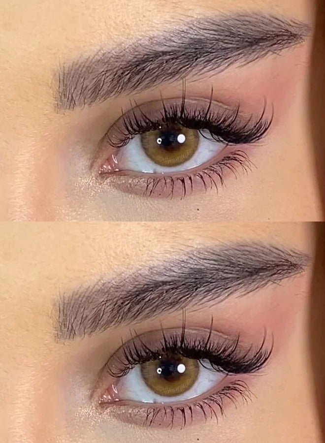 سيدة جديدة عدسات لاصقة ملونة بنية من فريش ليدي للاستخدام السنوي - Image 3