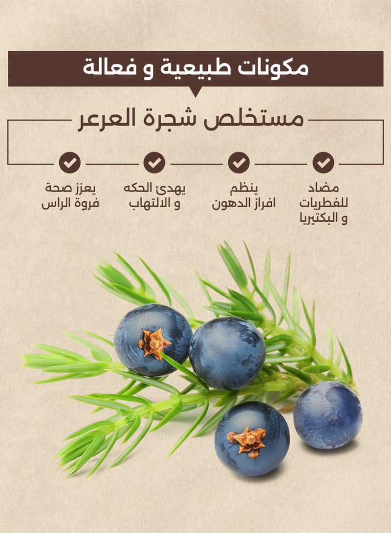 ewela Hair Care Shampoo for Dandruff Seborrheic Dermatitis 250 ml - Image 4