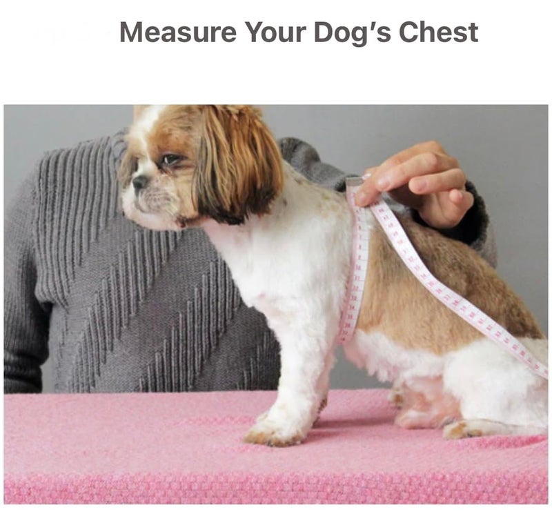 KUTKUT polycotton Small Dog Cat Girl Dress Cute Bowknot Tutu Dress Striped Summer Dog Clothes for Small Dogs Girl ,Cat Pet Apparel Outfits (Size: M,Chest: 40Cm,Length: 30Cm,Pink),1 count - Image 4