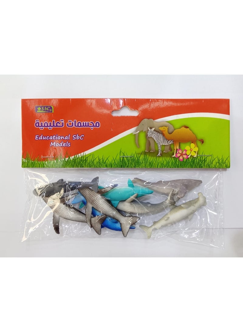 SBC Miniature Sea Animals Action Figure Ocean World Educational Tool Set Model Blue Whale Dolphin Biology Education Shark Children's Toys