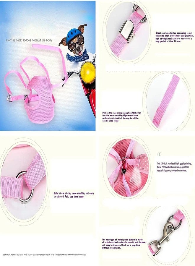 Pups&Pets Puppy Vest Harness and Leash Set Soft Mesh Comfort Fit No Pull No Choke Padded Vest Harness with Leash for Puppy, Cats and Small Pets (Red) - Image 3