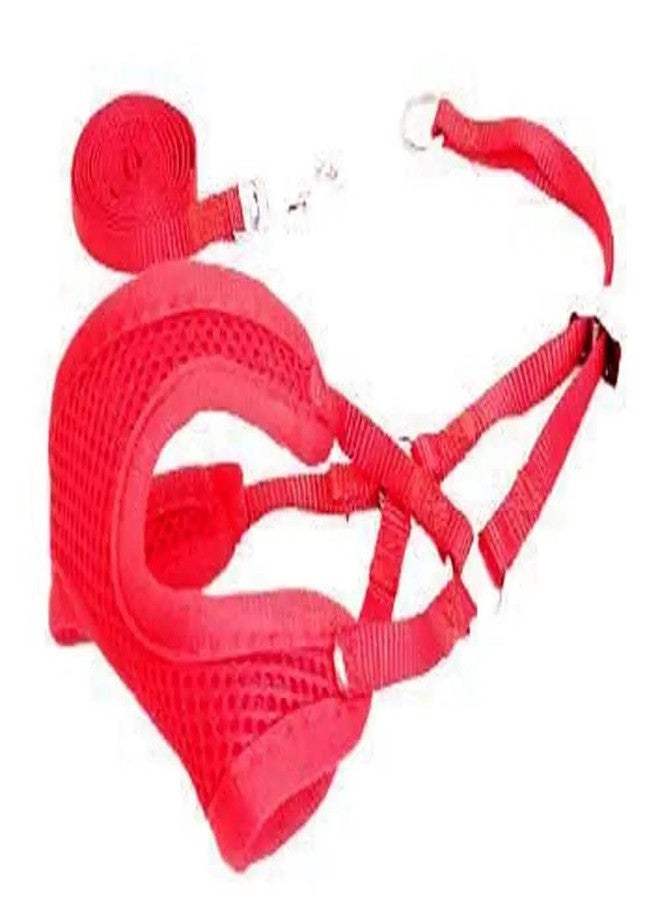 Pups&Pets Puppy Vest Harness and Leash Set Soft Mesh Comfort Fit No Pull No Choke Padded Vest Harness with Leash for Puppy, Cats and Small Pets (Red) - Image 1