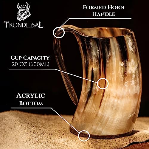 Trondebal Viking Drinking Horn Mug, 15-20 Oz Natural Ox Horn Cup & Cofee Stein | Cool Unique Gift for Men and Women, Home Decor Accessories | Shot Glasses for Beer, Ale, Whiskey, Mead - Image 3