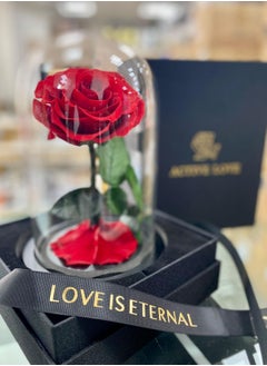 Forever Rose Large Handmade Preserved Rose Forever Never Withered Flowers Valentine's Gift for Wedding Anniversary Birthday, Mother's Day Gift, Best Gift for Her Rose (Single Rose, Red) - pzsku/Z4514CCD038A52C9F3954Z/45/_/1730547299/b6cedb58-3e27-43ca-8c29-a4dfd5a130bf