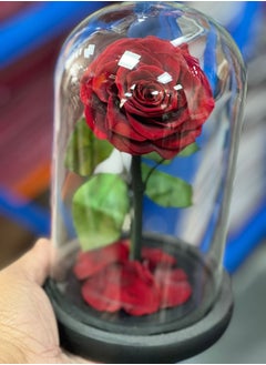 Forever Rose Large Handmade Preserved Rose Forever Never Withered Flowers Valentine's Gift for Wedding Anniversary Birthday, Mother's Day Gift, Best Gift for Her Rose (Single Rose, Red) - pzsku/Z4514CCD038A52C9F3954Z/45/_/1730547339/1651feab-7b09-4b21-9fb7-10cdc14df4ec