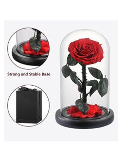 Forever Rose Large Handmade Preserved Rose Forever Never Withered Flowers Valentine's Gift for Wedding Anniversary Birthday, Mother's Day Gift, Best Gift for Her Rose (Single Rose, Red) - pzsku/Z4514CCD038A52C9F3954Z/45/_/1730547369/51436372-e913-47ad-ac9c-9571b56d48b9