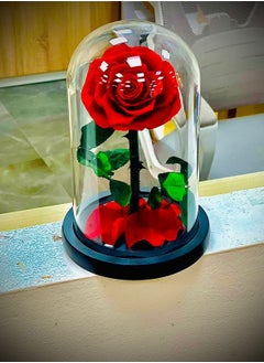 Forever Rose Large Handmade Preserved Rose Forever Never Withered Flowers Valentine's Gift for Wedding Anniversary Birthday, Mother's Day Gift, Best Gift for Her Rose (Single Rose, Red) - pzsku/Z4514CCD038A52C9F3954Z/45/_/1730547370/7c0590e3-8908-4b71-9c23-8313178b12f5